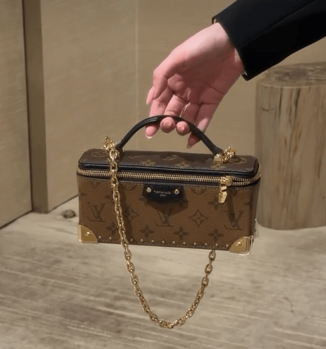 Louis Vuitton Vanity Pouch Trunk 20cm M29548 view 6