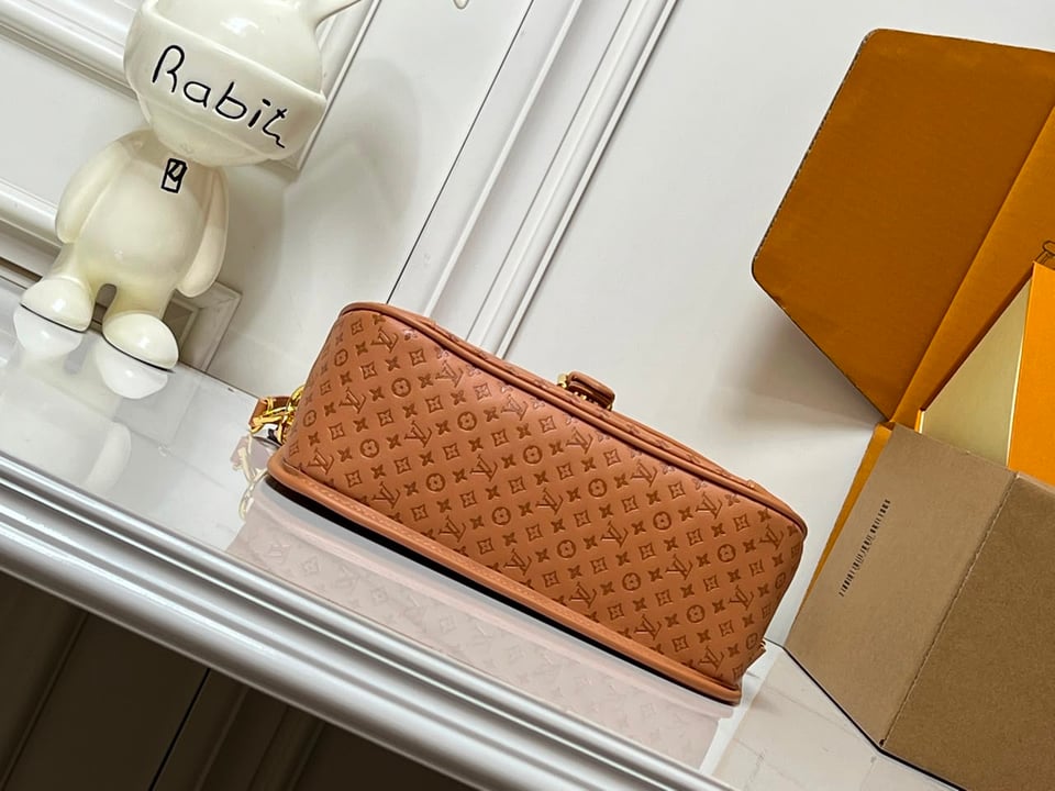 Louis Vuitton Diane PM Bag Noisette Color 24cm M29162 view 9