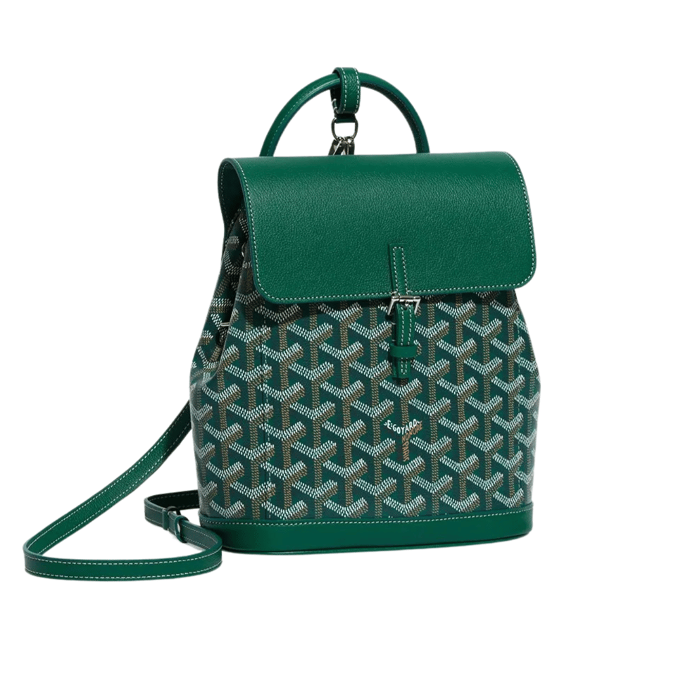 Goyard Alpin Mini Backpack 21 Cm Green Lambskin And Goyardine Canvas