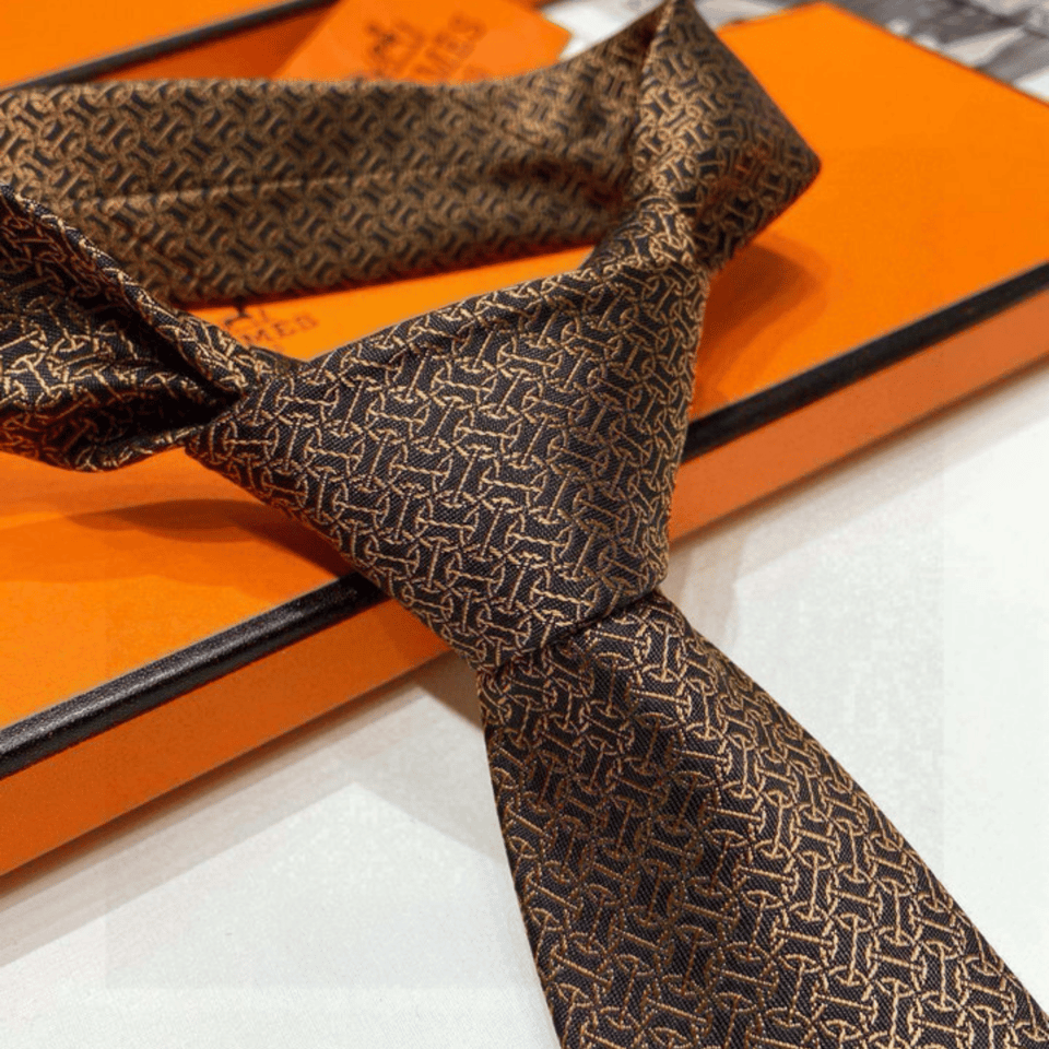 Hermes Brown Pattern Canvas Tie For Men view 3