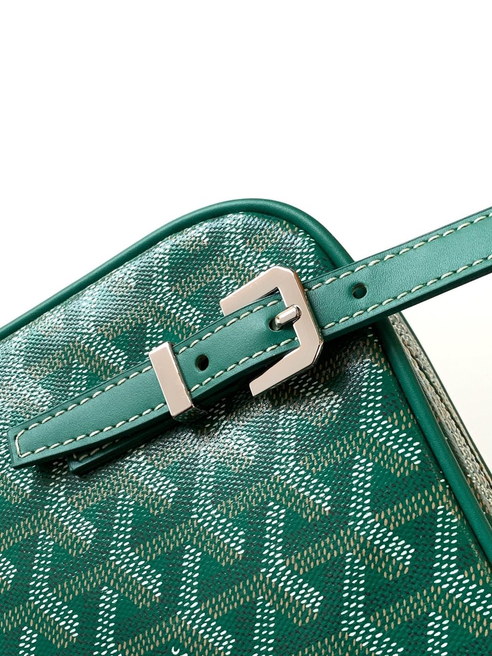 Goyard Yona Bag Coated MM 21Cm Green Canvas view 7