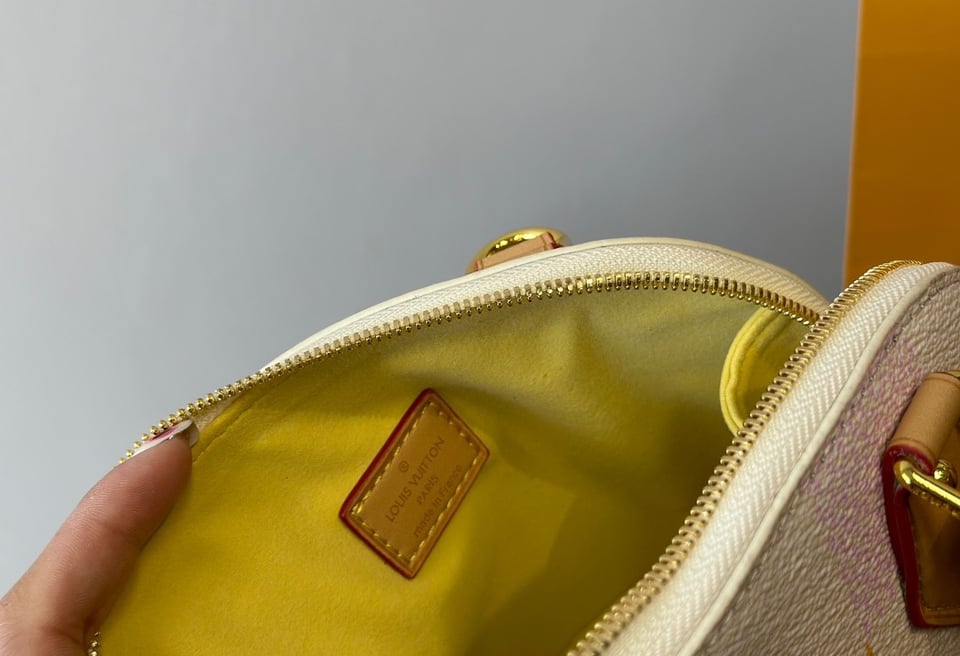 Louis Vuitton Alma Bb Damier Canvas Peach 23Cm N40516 view 10