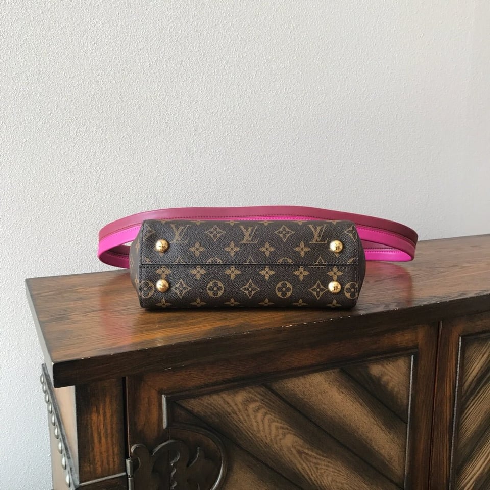 Louis Vuitton Cluny Bordeaux Red 28Cm view 10