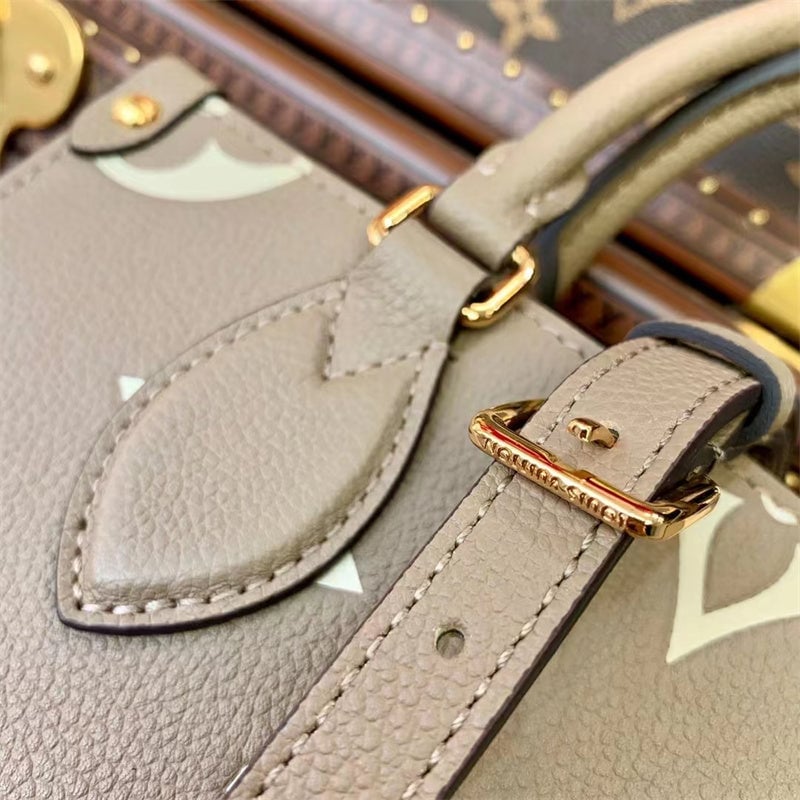 Louis Vuitton LV OnTheGo East West M46653 Beige 25cm view 10