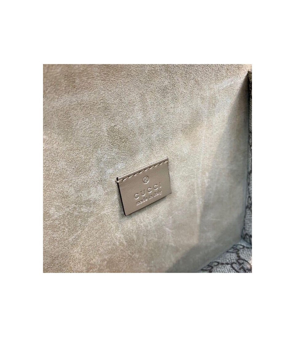Gucci Dionysus GG Supreme Mini Bag Apricot view 15