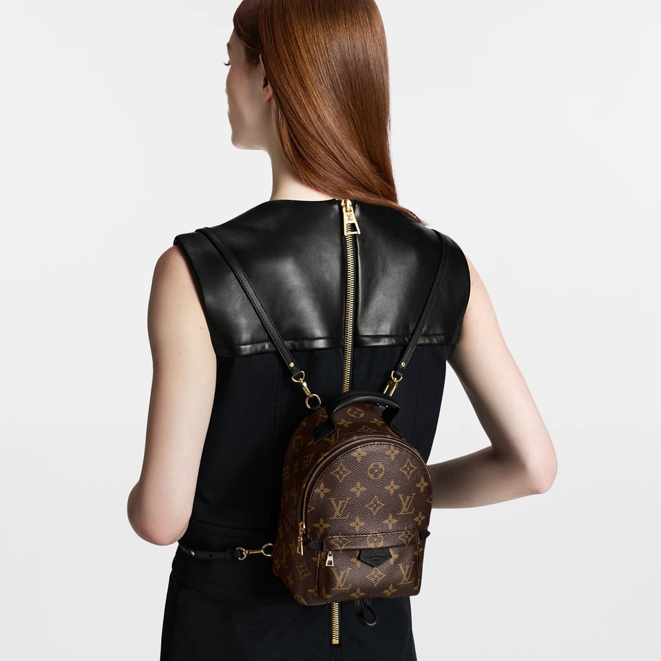 Louis Vuitton Palm Springs Backpack Mini Monogram Canvas – 17cm/6.7in view 3