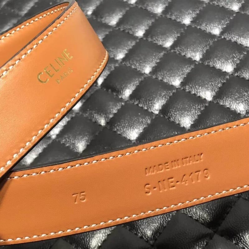 Celine Triomphe Belt 45AK93 view 12