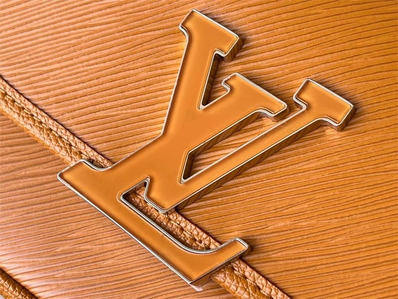Louis Vuitton Buci 24Cm Brown view 8