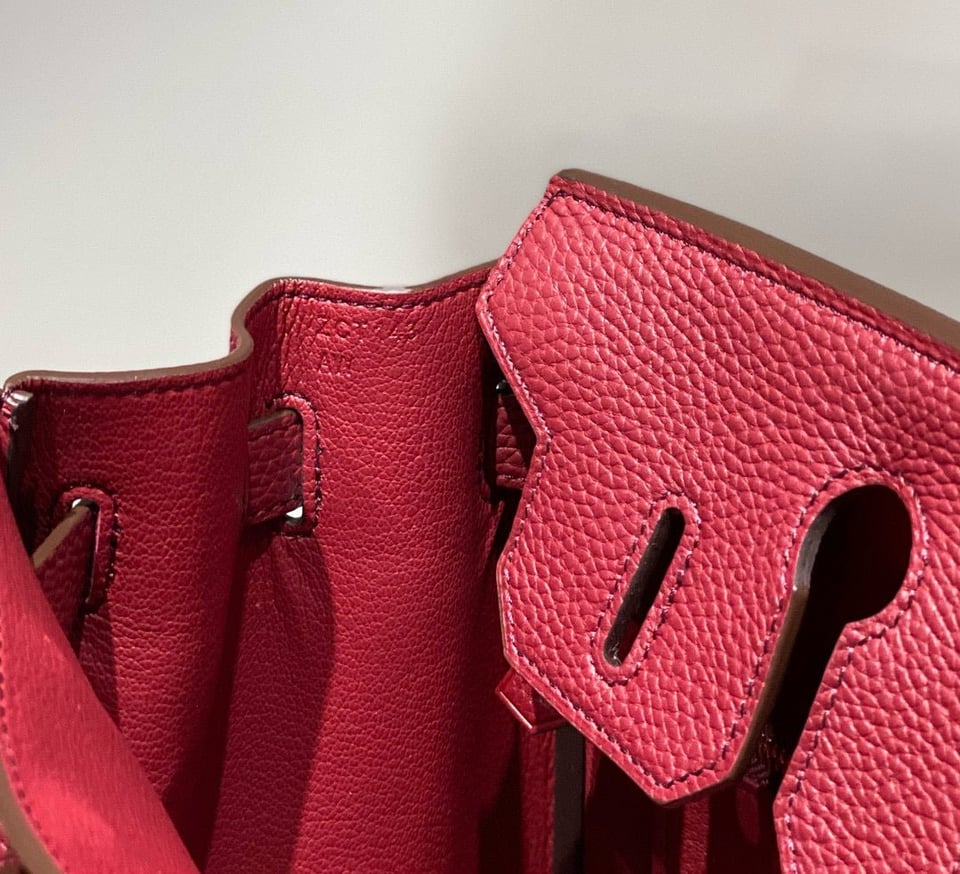 Hermes Birkin 25Cm Rouge H Togo Leather Gold Hardware view 9