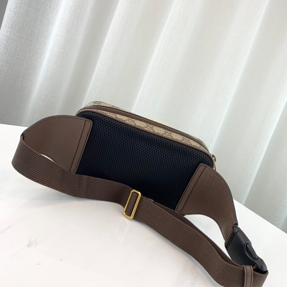 Gucci Ophidia GG Belt Bag view 10