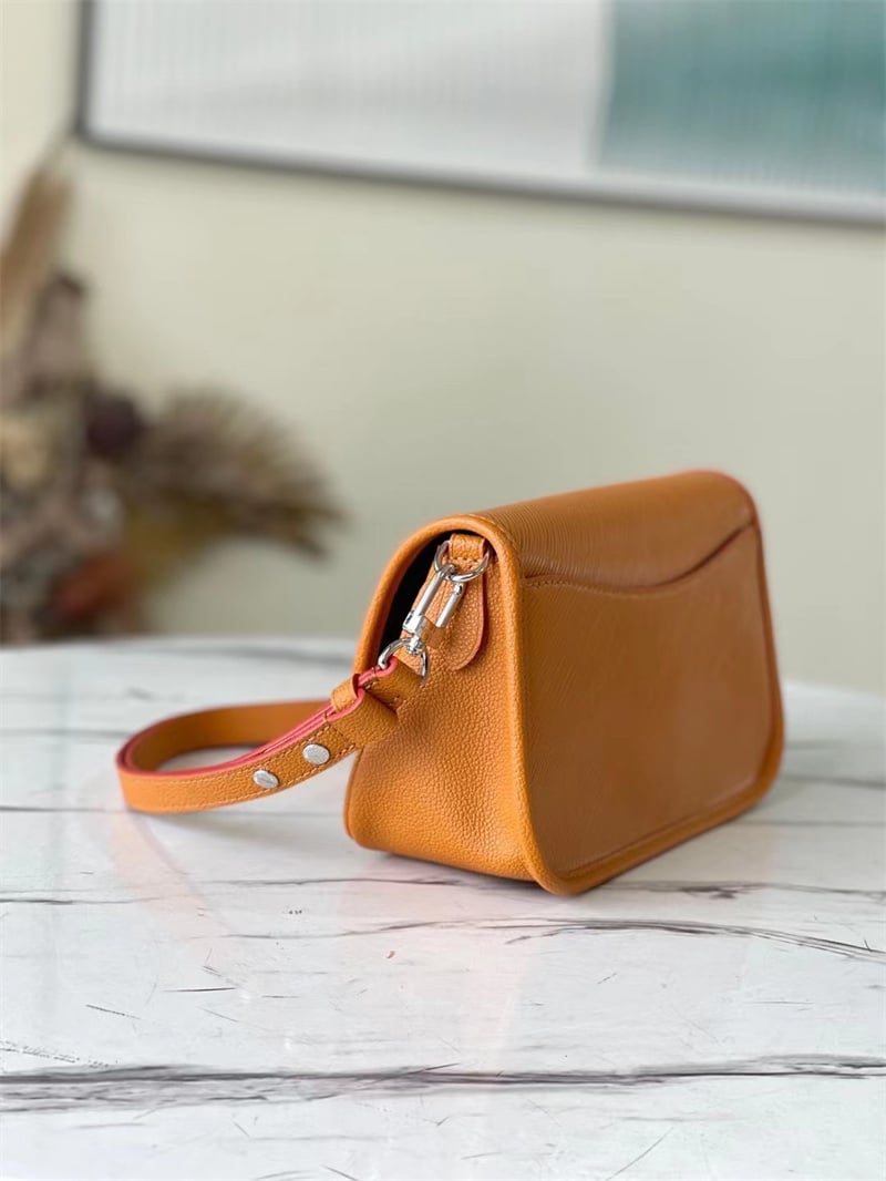 Louis Vuitton Buci 24Cm Brown view 5