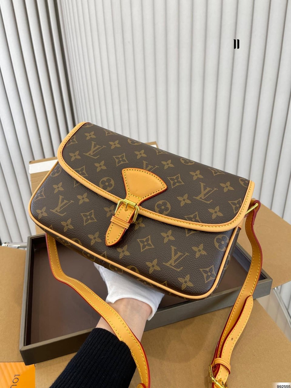 Louis Vuitton Monogram Canvas Sologne 26Cm Brown view 9