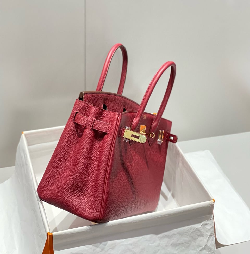 Hermes Birkin 25Cm Rouge H Togo Leather Gold Hardware view 5