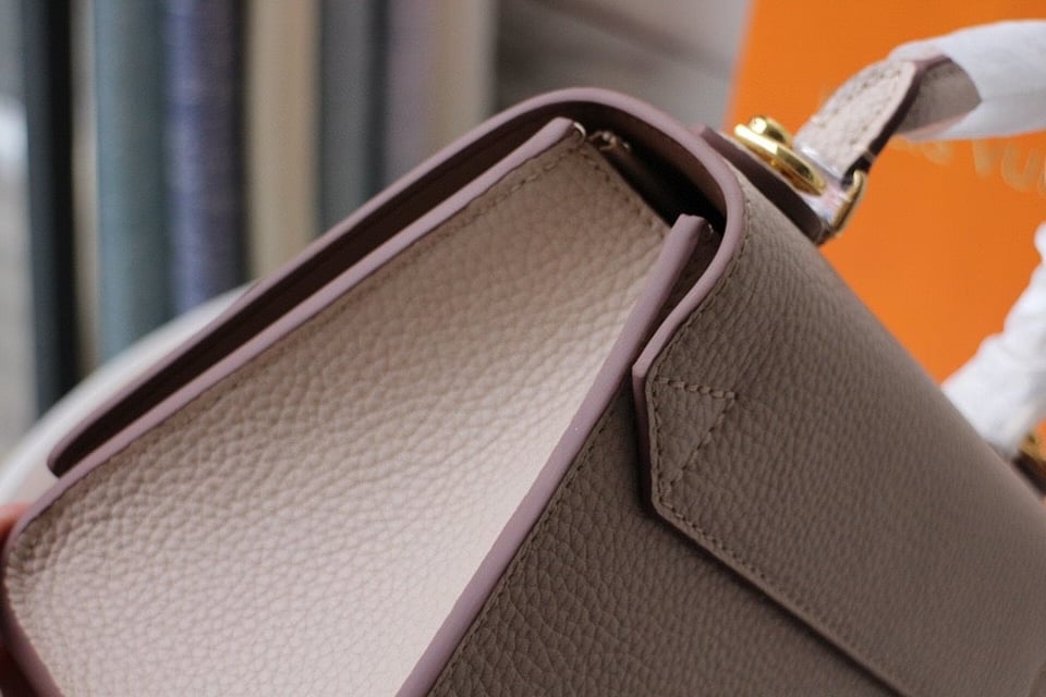 Louis Vuitton Twist One Handle Pm 25Cm Greige view 8
