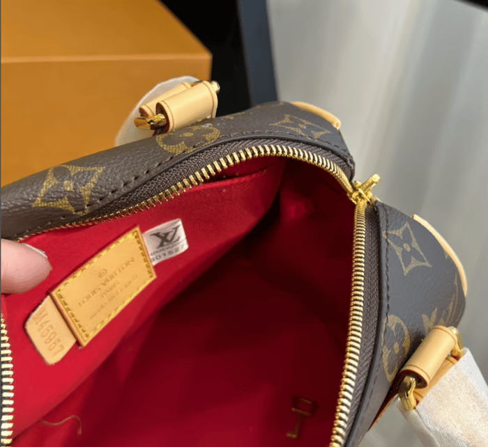 Louis Vuitton Speedy Bandouliere 20 Fuchsia 20cm M46234 view 12