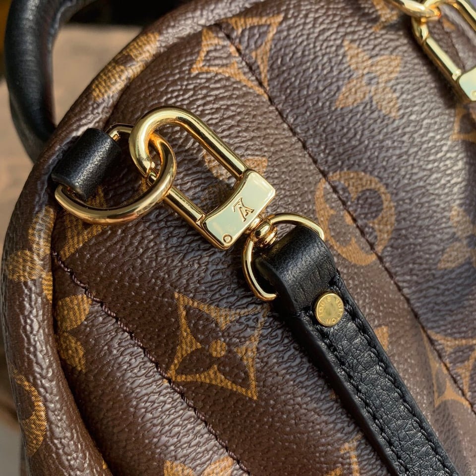 Louis Vuitton Palm Springs Backpack PM Monogram Canvas – 22cm/8.7in view 8