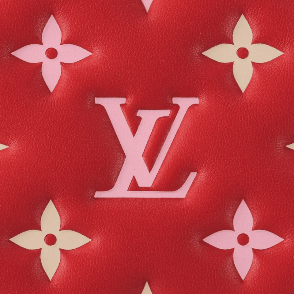 Louis Vuitton Coussin PM Bag 26cm M22397 view 5