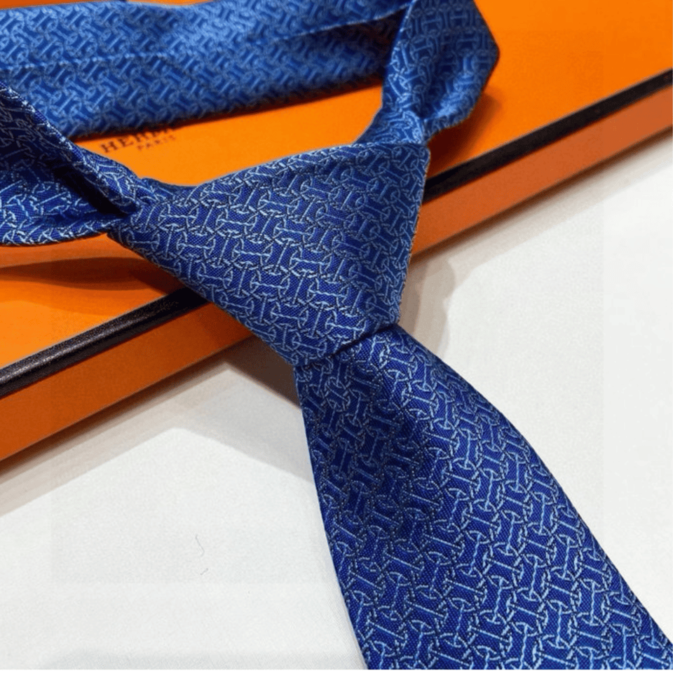 Hermes Blue Pattern Canvas Tie For Men view 3