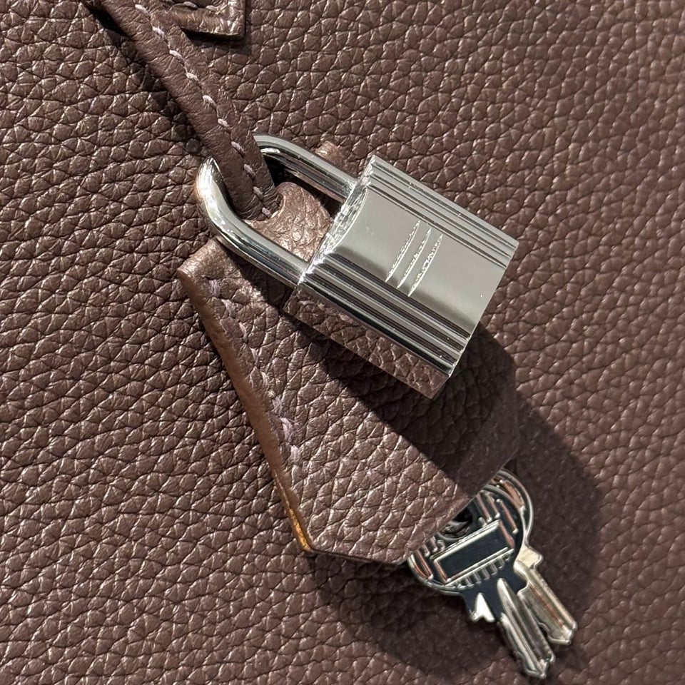 Hermes Birkin 25Cm Cafe Togo Leather Silver Hardware 237502 view 6