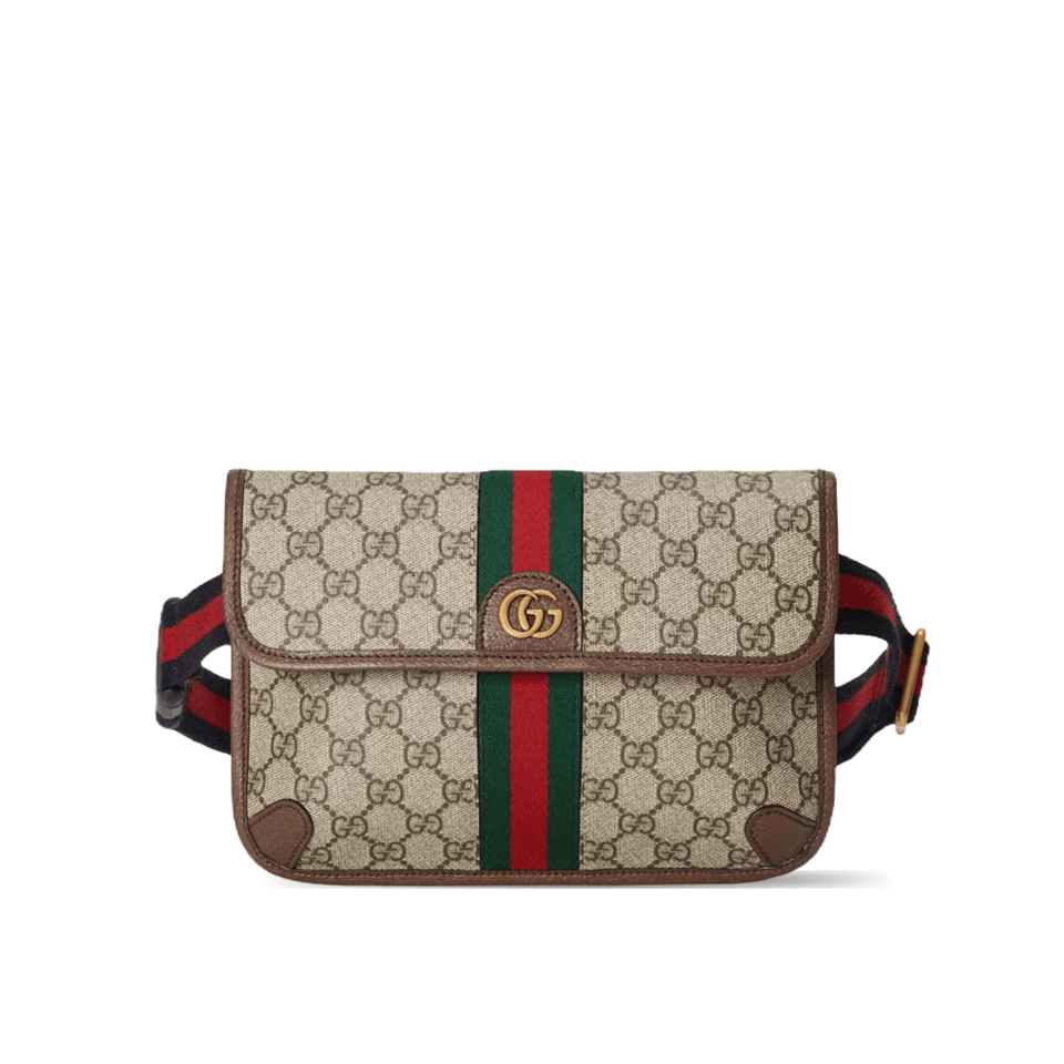 Gucci Ophidia GG Small Belt Bag 24cm view 2