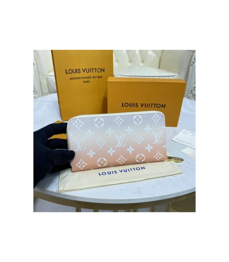 Louis Vuitton Zippy Wallet Mist Gray 19.5cm view 4