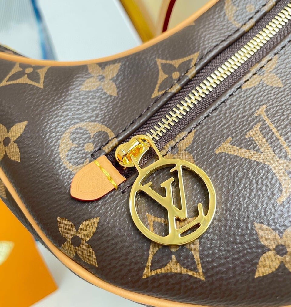 Louis Vuitton Loop Bag Monogram Canvas M81098 23cm/9.1in view 15