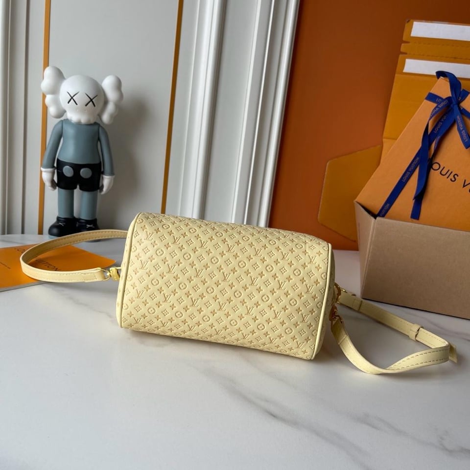 Louis Vuitton Speedy Bandoulière 20 Bag M29494 view 7