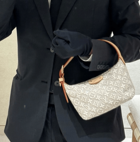 Louis Vuitton Pochette Hills Monogram Emblème Pattern In Peuplier Color 18.5cm M29879 view 2