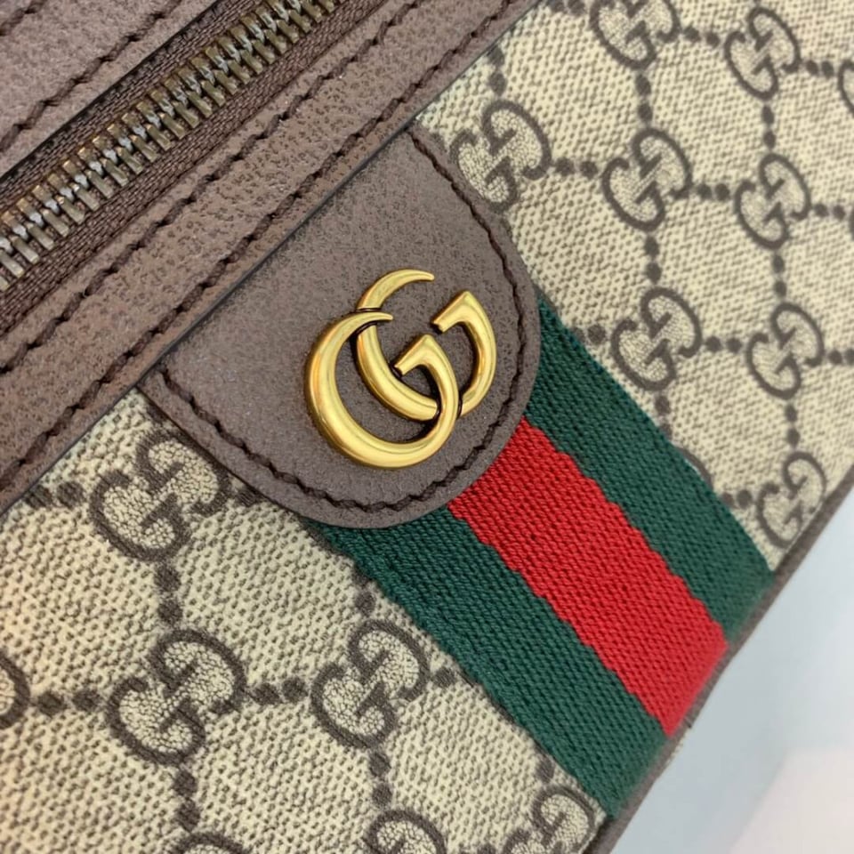 Gucci Ophidia GG Belt Bag view 9
