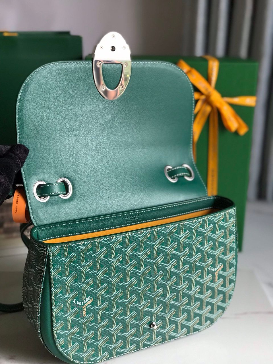 Goyard 233 Bag 25 Cm Green Calfskin And Goyardine Canvas 25cm view 6