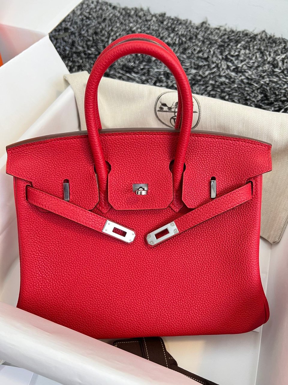 Hermes Birkin 25Cm Red Togo Leather Silver Hardware view 4