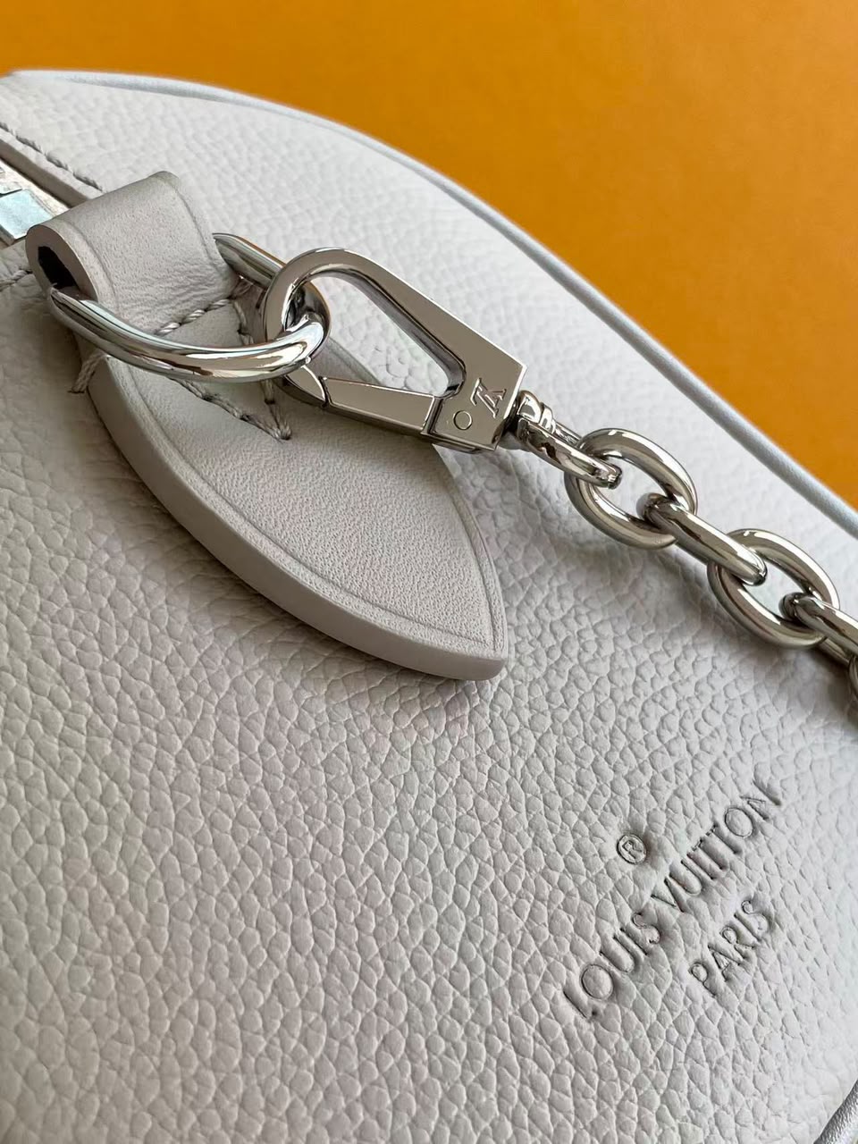 Louis Vuitton Speedy 20 Bag Brume Grey 16cm M28343 view 8