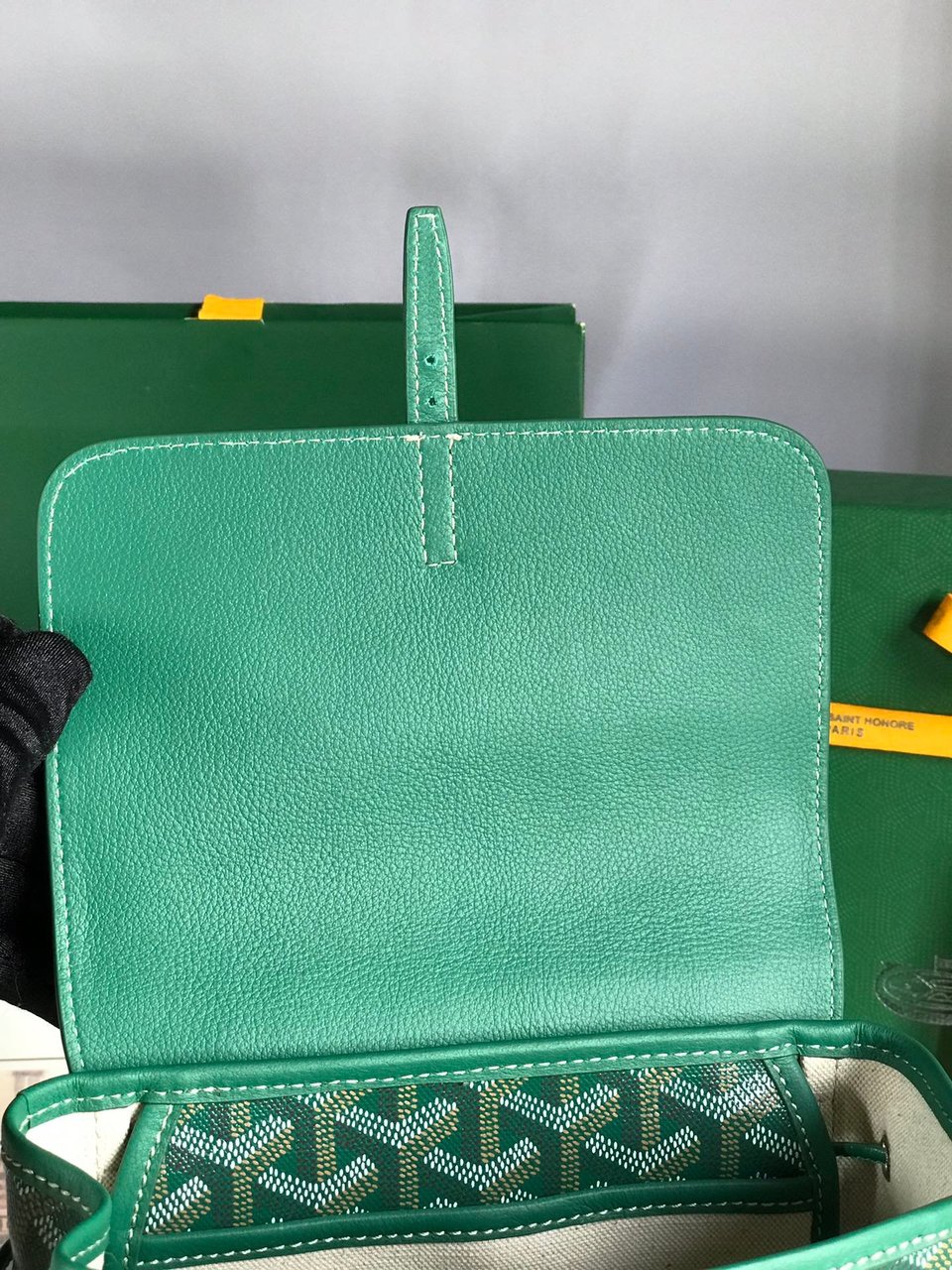 Goyard Alpin Mini Backpack 21 Cm Green Lambskin And Goyardine Canvas view 7