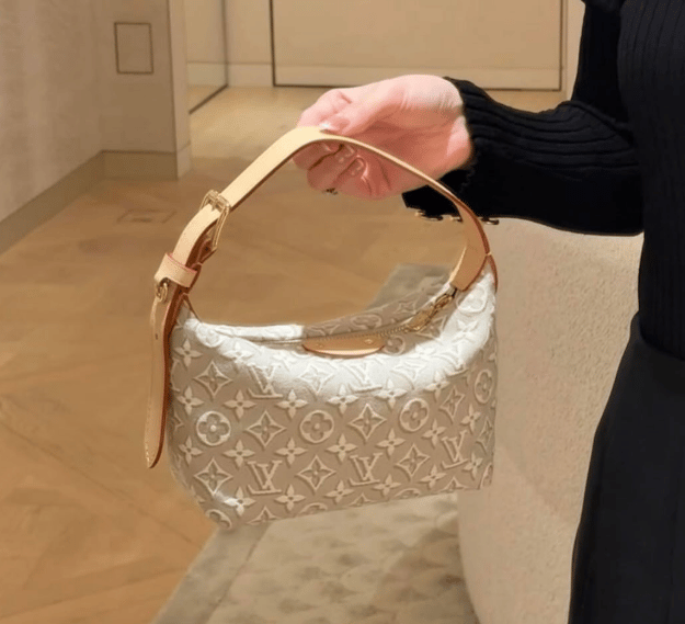 Louis Vuitton Pochette Hills Monogram Emblème Pattern In Peuplier Color 18.5cm M29879 view 7