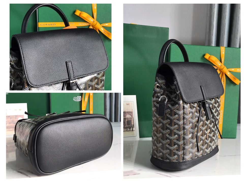 Goyard Alpin Mini Backpack 21cm Black Lambskin And Goyardine Canvas view 10