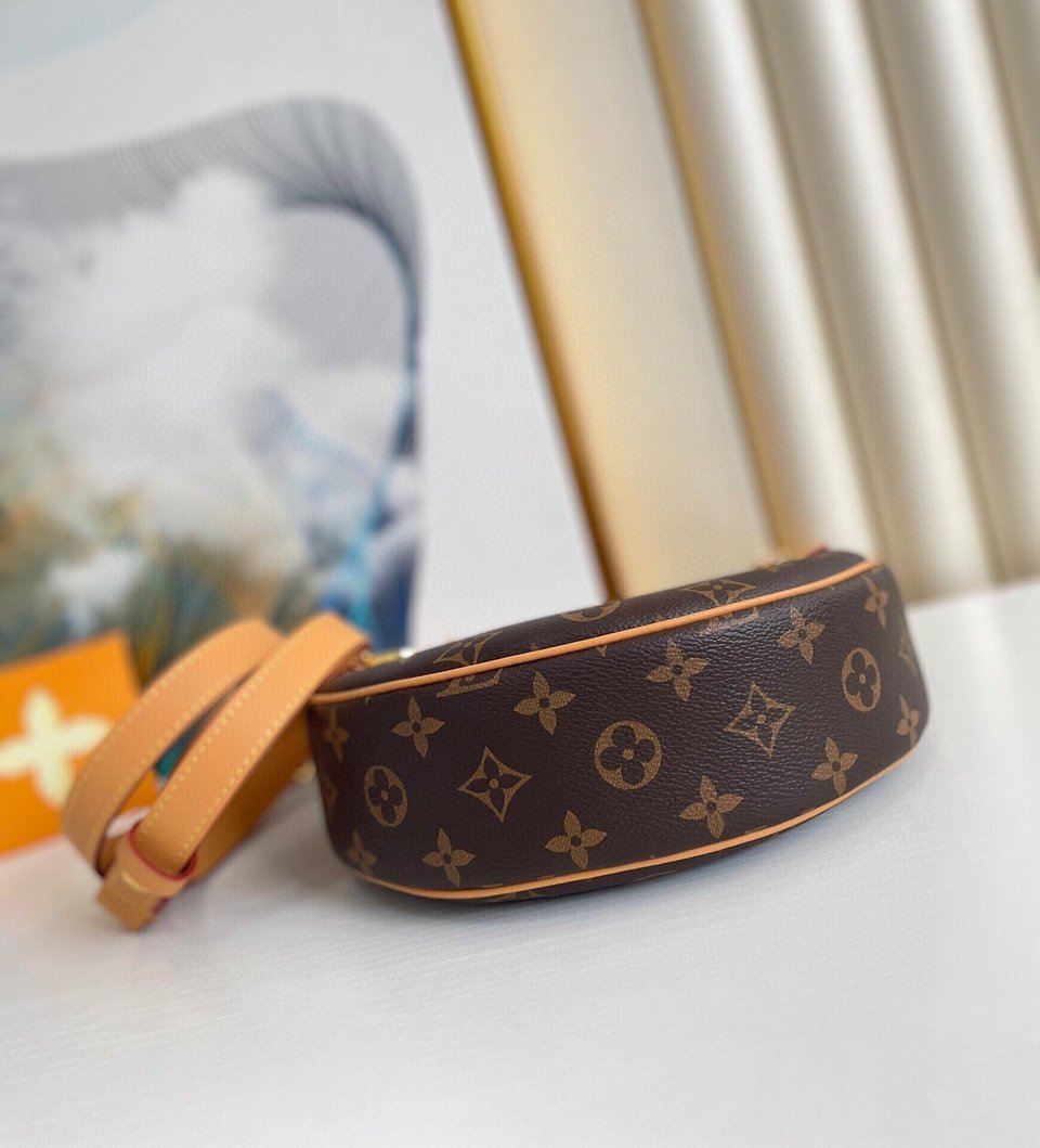 Louis Vuitton Loop Bag Monogram Canvas M81098 23cm/9.1in view 8