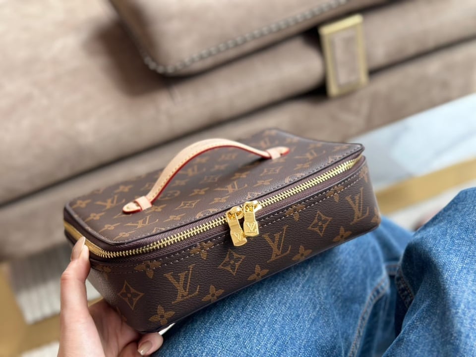 Louis Vuitton Nice Jewelry Case Brown 23Cm view 6