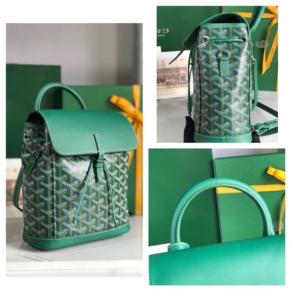 Goyard Alpin Mini Backpack 21 Cm Green Lambskin And Goyardine Canvas view 5