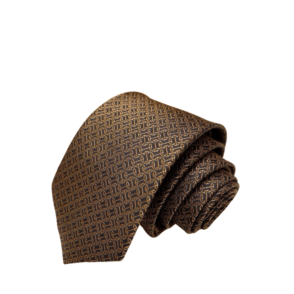 Hermes Brown Pattern Canvas Tie For Men view 2