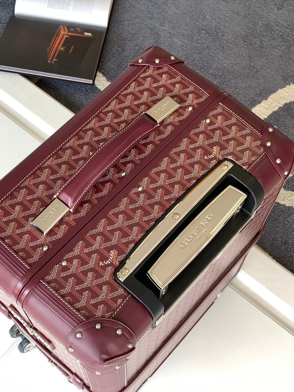 Goyard 50cm view 6