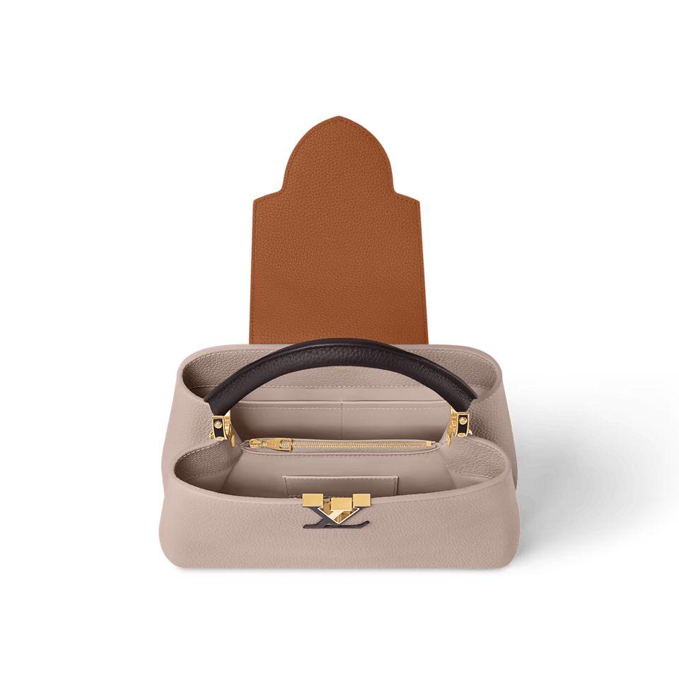 Louis Vuitton Capucines MM M12956 Gray 31.5cm/ 12.2in view 4