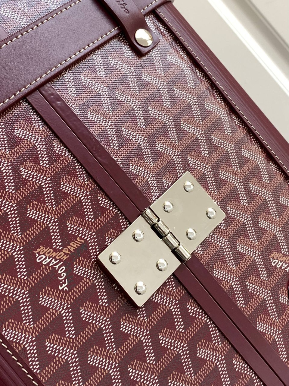 Goyard 50cm view 5