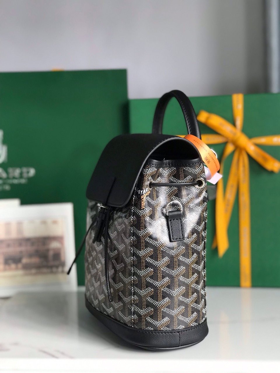 Goyard Alpin Mini Backpack 21cm Black Lambskin And Goyardine Canvas view 6