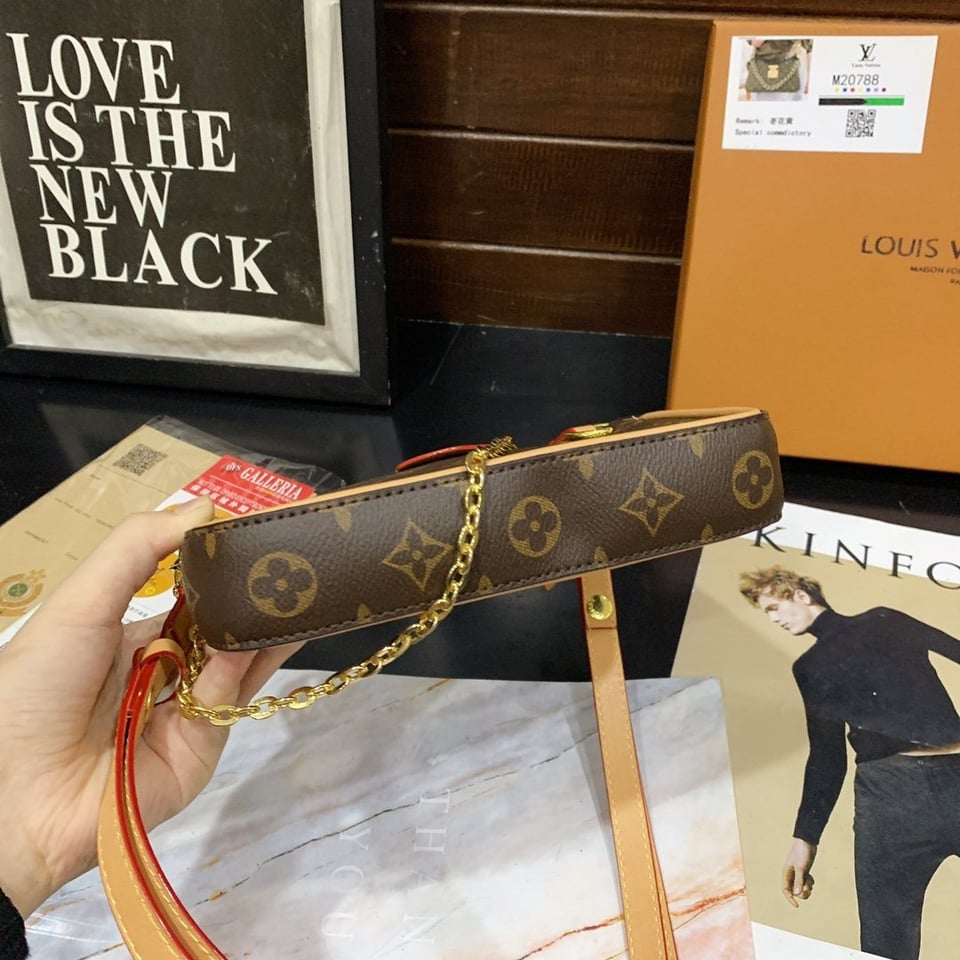 Louis Vuitton Monogram Pochette Brown 20Cm view 5