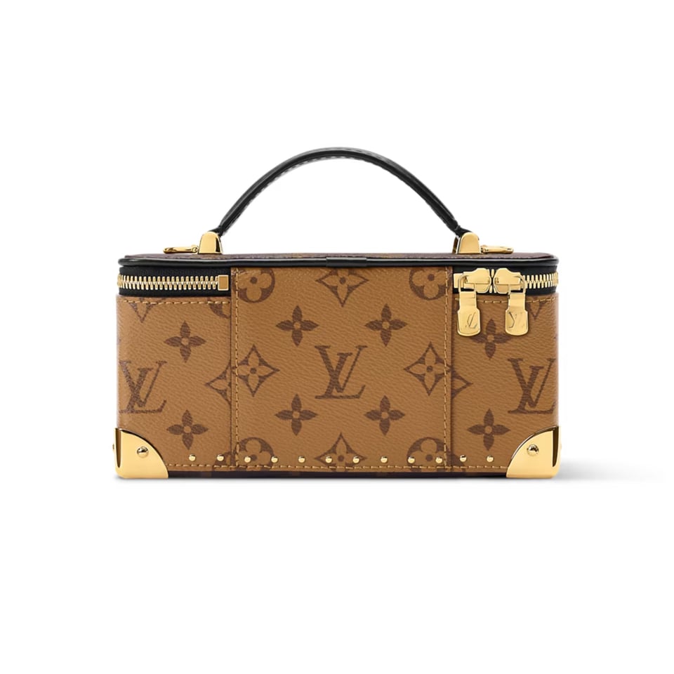 Louis Vuitton Vanity Pouch Trunk 20cm M29548 view 5