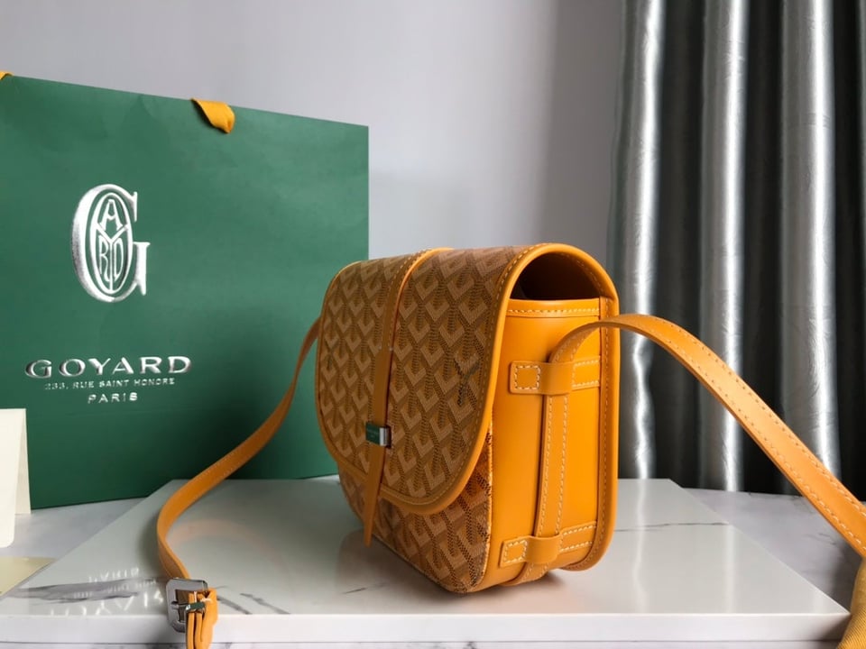 Goyard Belvedere Pm Bag 21Cm Yellow Canvas view 3