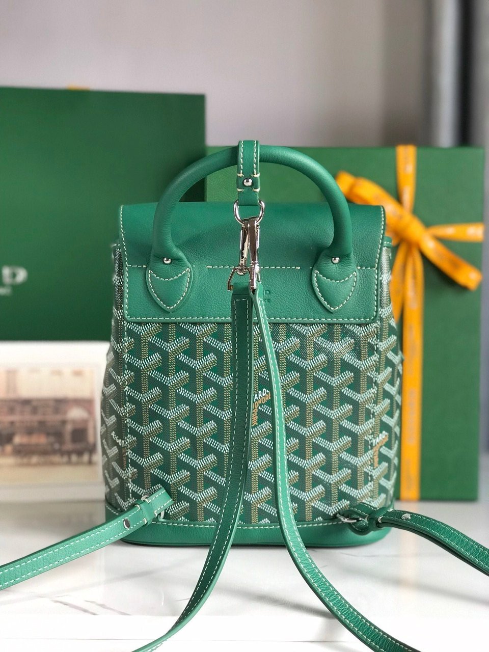 Goyard Alpin Mini Backpack 21 Cm Green Lambskin And Goyardine Canvas view 9