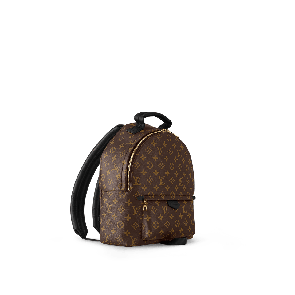 Louis Vuitton Palm Springs Backpack MM Monogram Canvas 28cm/11in M44874 view 5