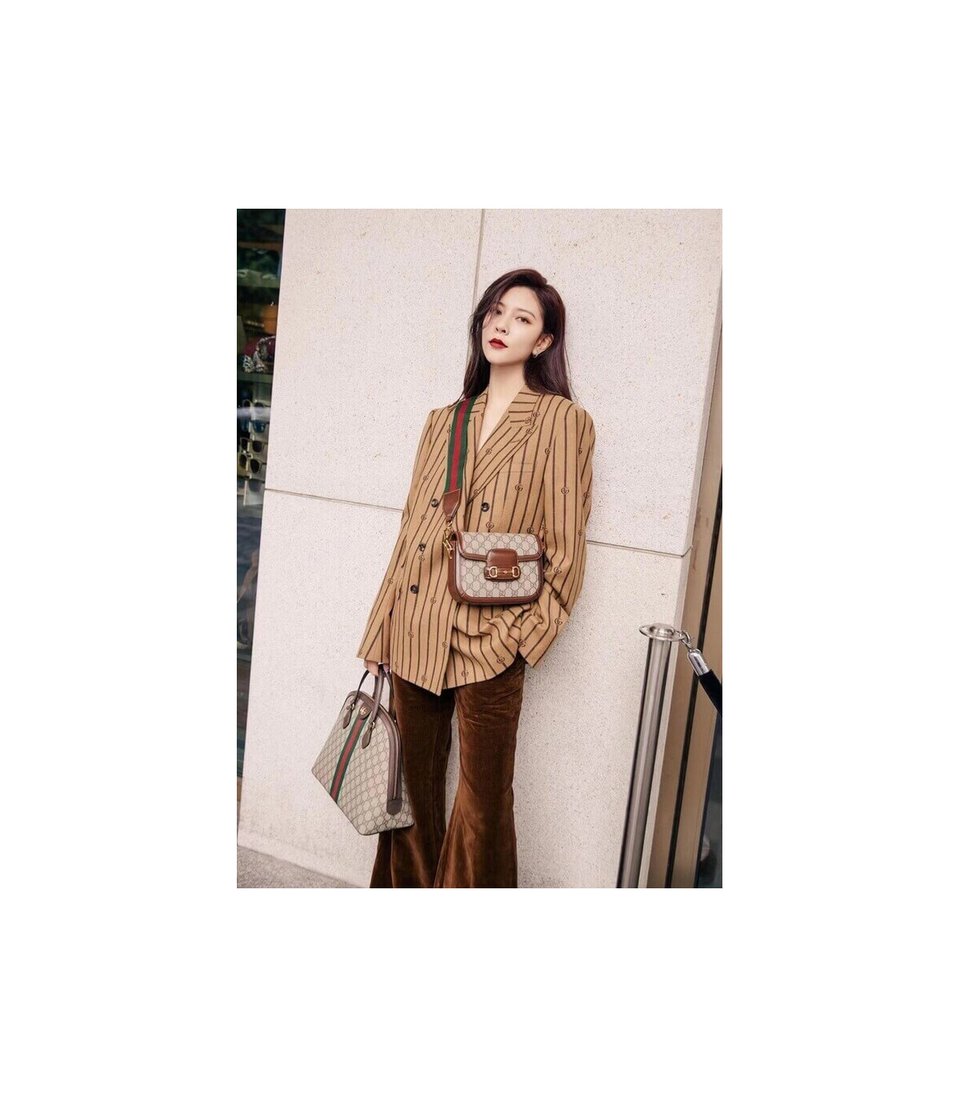 Gucci Horsebit 1955 Mini Bag in GG Supreme Brown view 4