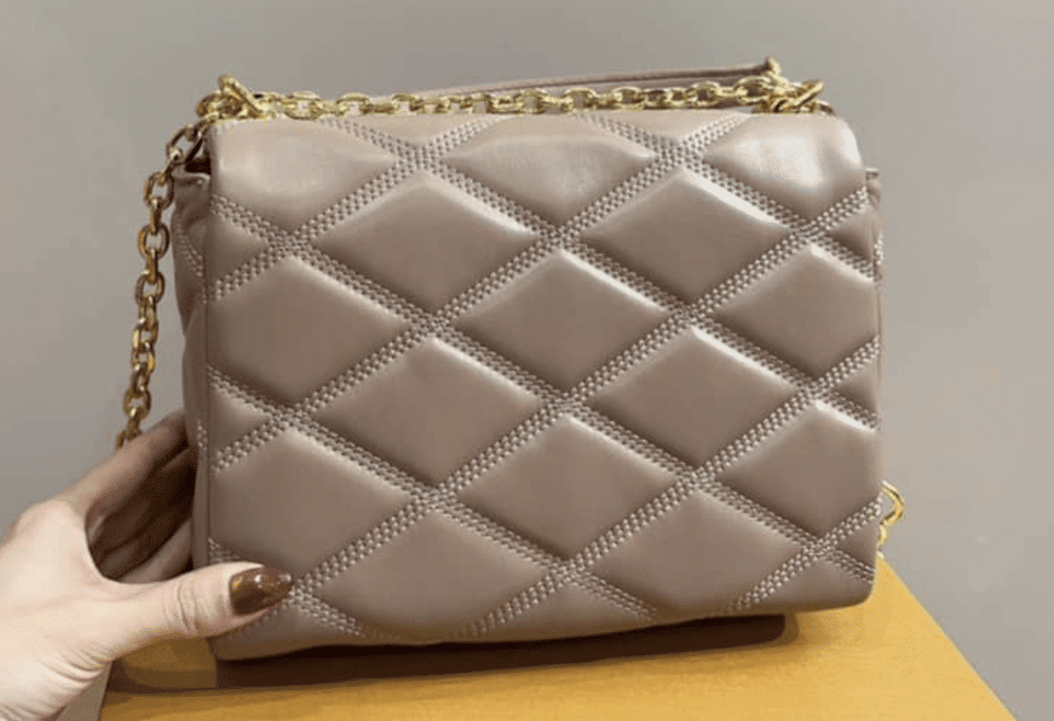 Louis Vuitton Go 14 Gm Beige 22Cm M23689 view 5